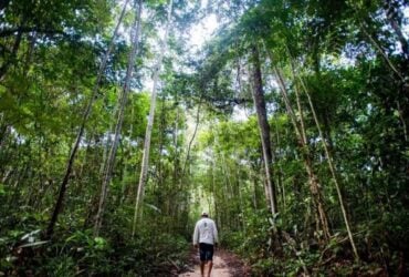 Projeto nacional paga produtores de Sorriso que mantem a floresta em pe