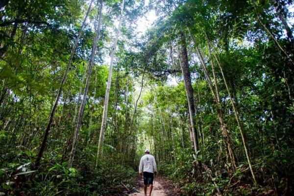 Projeto nacional paga produtores de Sorriso que mantem a floresta em pe