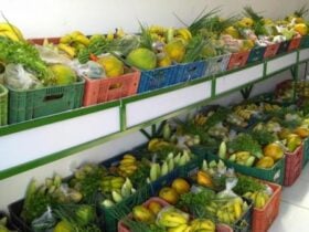 Reinaugurada a quitanda da Cooperriso na Ceasa