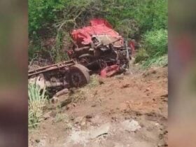 Acidente ocorreu na tarde desta terça-feira (28), no km 785 da rodovia, e causou tombamento de uma das carretas, com derramamento de milho e vazamento de combustível