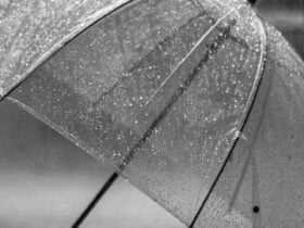 Tempo- Guarda Chuva