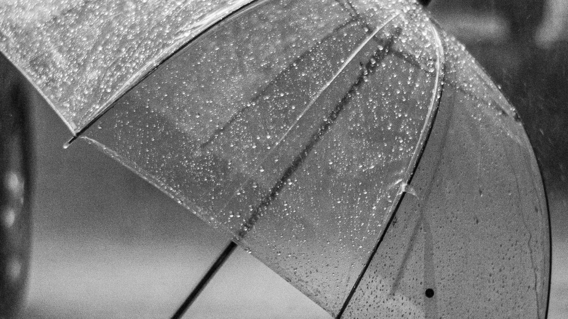 Tempo- Guarda Chuva