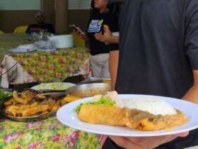 Varzea Grande realiza encontro para mapear seguranca alimentar no Municipio