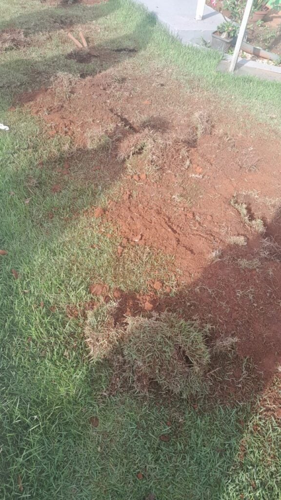 Furto de fiação elétrica paralisa atividades do IFMT em Lucas do Rio Verde 82 WhatsApp Image 2025 10 22 at 07.27.06