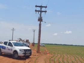 WhatsApp Image 2025-10-29 at 17.36.23