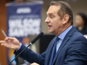 Projeto combate linhas chilenas e cerol em MT