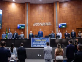 Decisão sobre energia definirá futuro de Mato Grosso por 30 anos