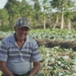 a transformacao de Paranaita pelas maos dos produtores