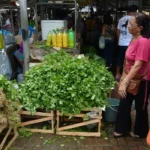 Mercado fortalece economia local com criação do programa Mercado do Povo