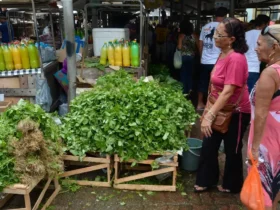 Mercado fortalece economia local com criação do programa Mercado do Povo