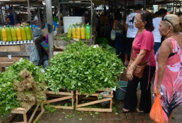 Mercado fortalece economia local com criação do programa Mercado do Povo