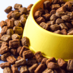 Abertura de mercados para o Brasil na Malásia e em Burkina Faso