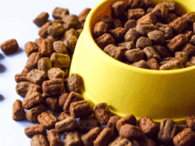 Abertura de mercados para o Brasil na Malásia e em Burkina Faso