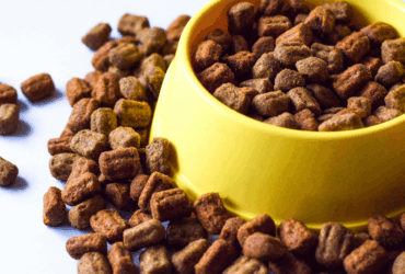 Abertura de mercados para o Brasil na Malásia e em Burkina Faso