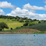 aquicultura embrapa mapeamento