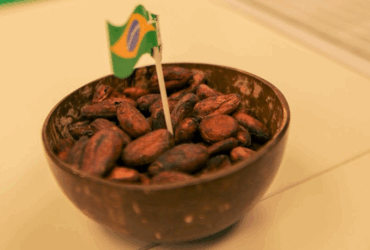 cacau