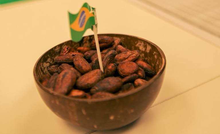cacau