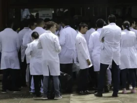 Revalida 2025: prazo para envio de diploma médico já está aberto