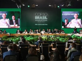 Combustíveis fósseis devem ceder espaço a ações concretas, diz Marina Silva