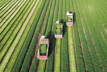 Estoque de LCA chega a R$ 608 bilhões em setembro