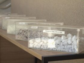 Fábrica em Goiás é a primeira do Brasil que processa terras raras para ímãs -