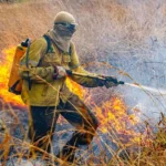 Incêndio volta a atingir Chapada dos Veadeiros após raios provocarem novo foco de fogo