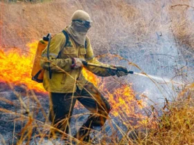 Incêndio volta a atingir Chapada dos Veadeiros após raios provocarem novo foco de fogo