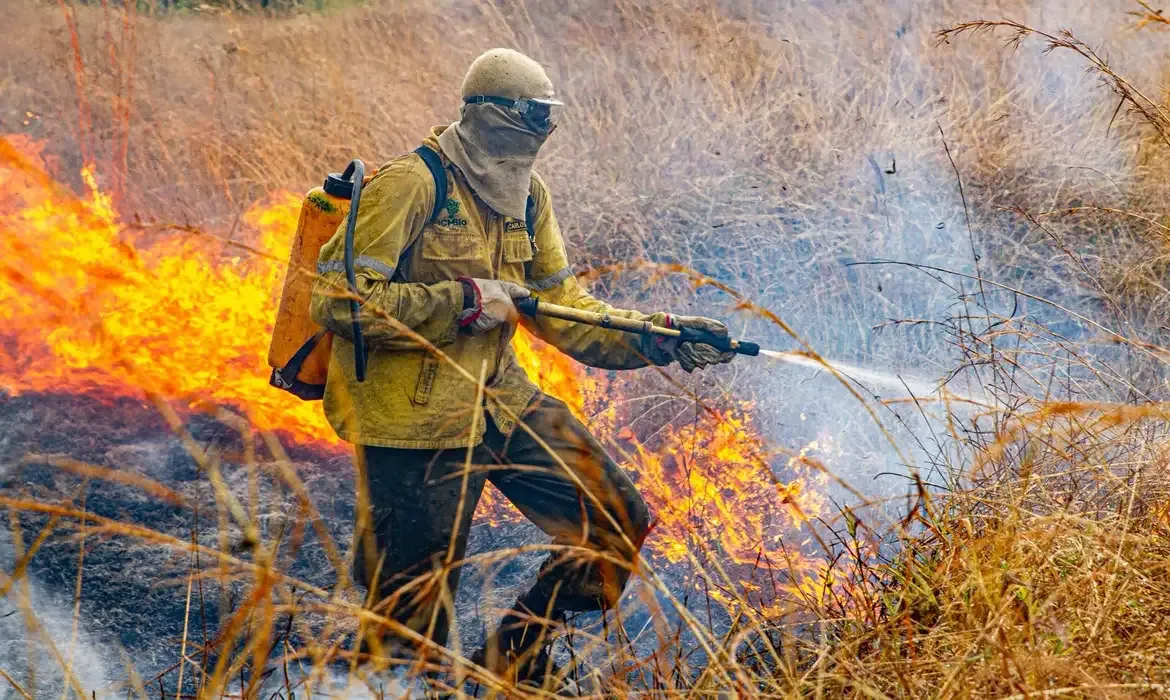 Incêndio volta a atingir Chapada dos Veadeiros após raios provocarem novo foco de fogo