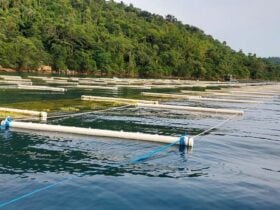 Ministério da Pesca e Aquicultura altera regras para cessão de uso de Águas da União -