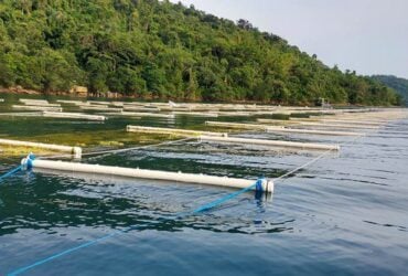 Ministério da Pesca e Aquicultura altera regras para cessão de uso de Águas da União -