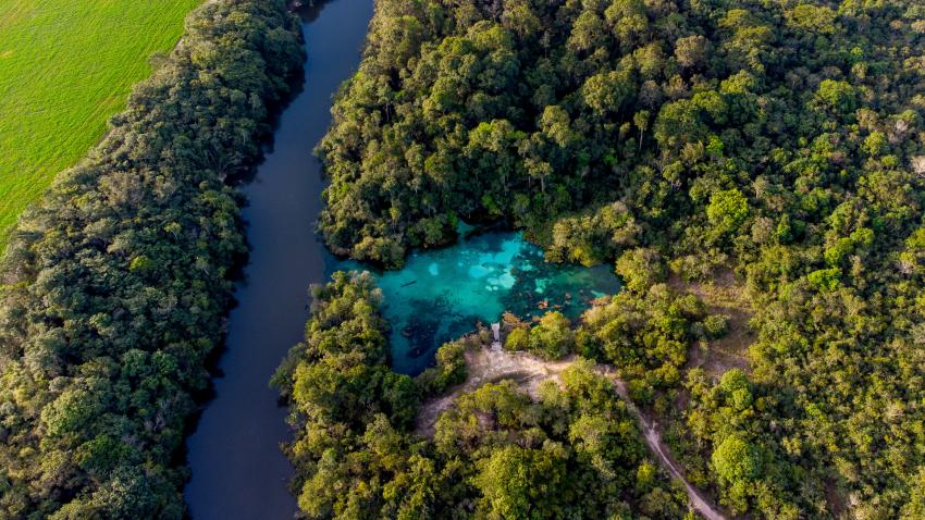 História de Primavera do Leste: A Saga dos Pioneiros e a Transformação do Cerrado Mato-Grossense 82 primavera do leste