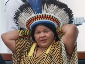 Brasil lança iniciativa global para proteção de terras indígenas