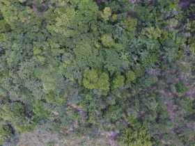 Exposição destaca histórias de vida nos biomas brasileiros