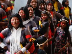 Proteção ambiental é inseparável da luta indígena, afirma Fachin na COP30