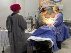 3a72543e8e45be37c9610d6d1033c1a4-1024x