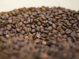 Trump anuncia redução de tarifas de importação de café para conter preços nos EUA