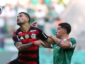Palmeiras x Flamengo: confira o caminho dos dois na disputa do Brasileirão. Imagem: Cesar Greco/Ag. Palmeiras