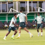 América-MG x Cuiabá: onde assistir ao vivo, escalações e tudo sobre o duelo decisivo da Série B. Imagem: AssCom Dourado