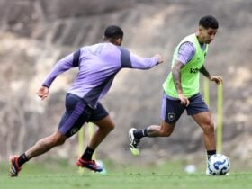Botafogo x Sport: onde assistir, escalações e tudo sobre o duelo pela 34ª rodada do Brasileirão. Imagem: Vitor Silva/BFR