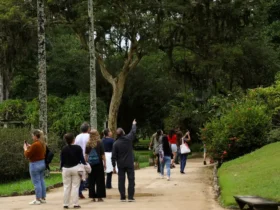 Jardim Botânico do Rio celebra Dia da Consciência Negra com programação especial