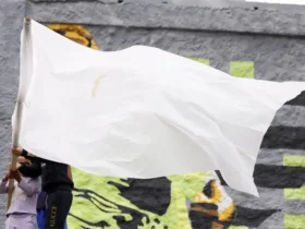 Adolescentes apreendidos após operação terão proteção reforçada