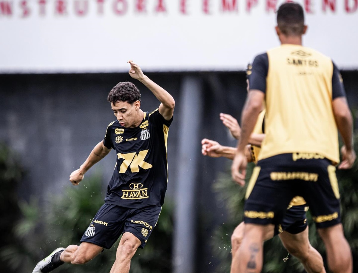 Flamengo x Santos: onde assistir, escalações e informações do jogo pelo Brasileirão 2025. Imagem: Raul Baretta/Santos FC