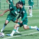Goiás x Novorizontino: onde assistir, escalações e tudo sobre o duelo decisivo na Série B. Imagem: Divulgação Goiás