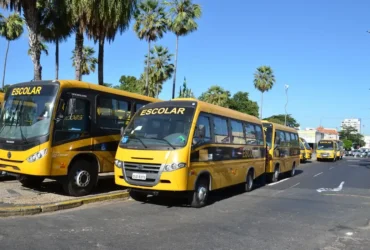 Nova lei amplia repasses para alimentação e transporte escolar