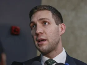 Noruega investe US$ 3 bilhões em florestas para evitar desaparecimento