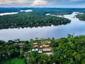 Amazônia recebe investimento de R$ 81,2 milhões para ampliar ações sustentáveis no Pará