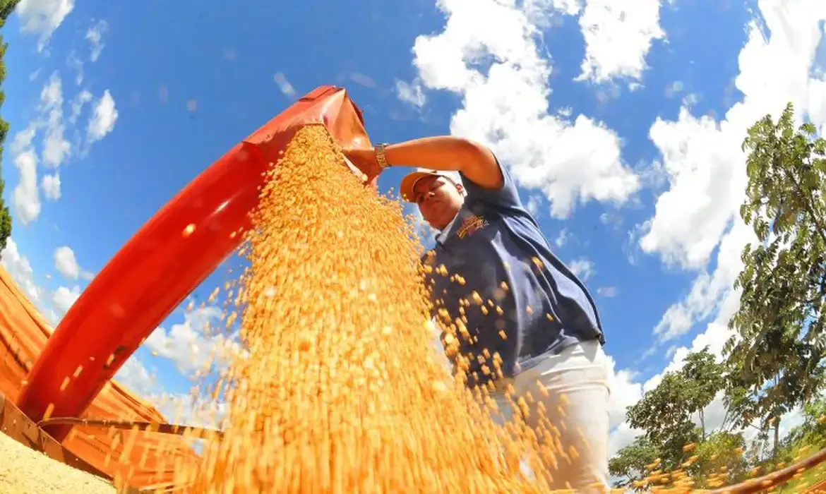 Agropecuária impulsiona crescimento de estados acima da média nacional em 2023