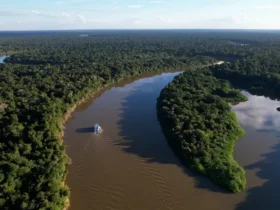 Desmatamento na Amazônia atinge menor índice em 17 anos, e Cerrado tem queda histórica