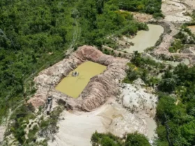 Amazônia registra avanço de facções criminosas na região