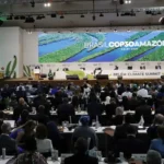 Oceanos precisam de mais financiamento na COP30
